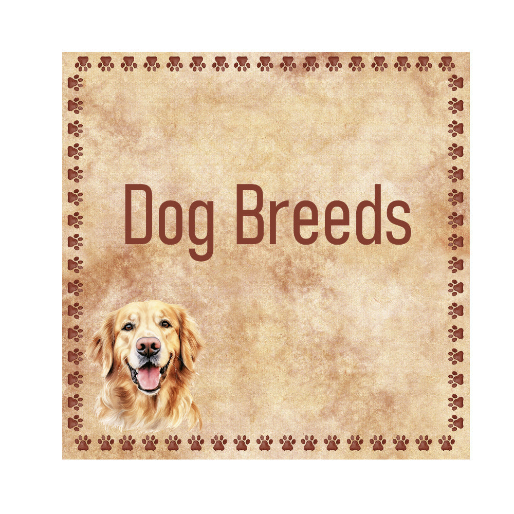 SSC Designs | Dog Breeds