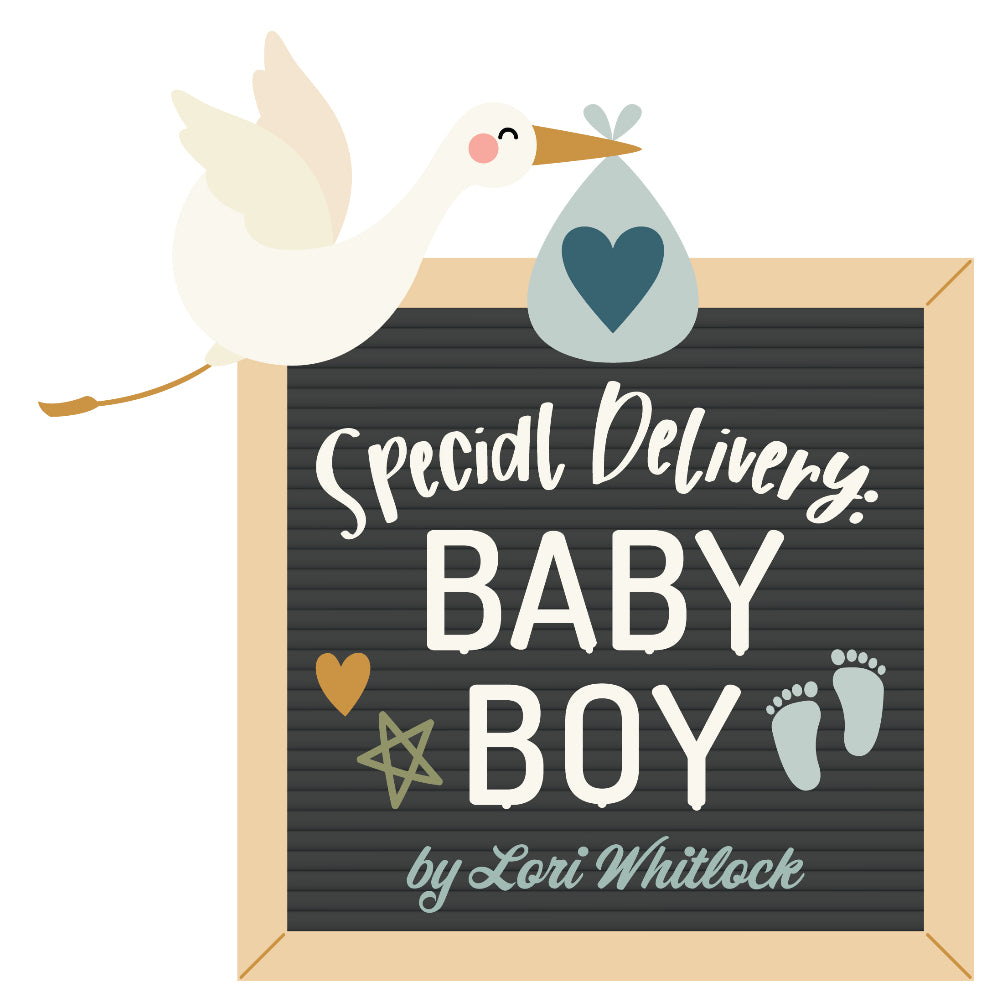 Echo Park Paper | Special Delivery Baby Boy