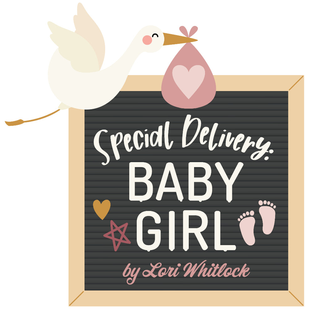 Echo Park Paper | Special Delivery Baby Girl