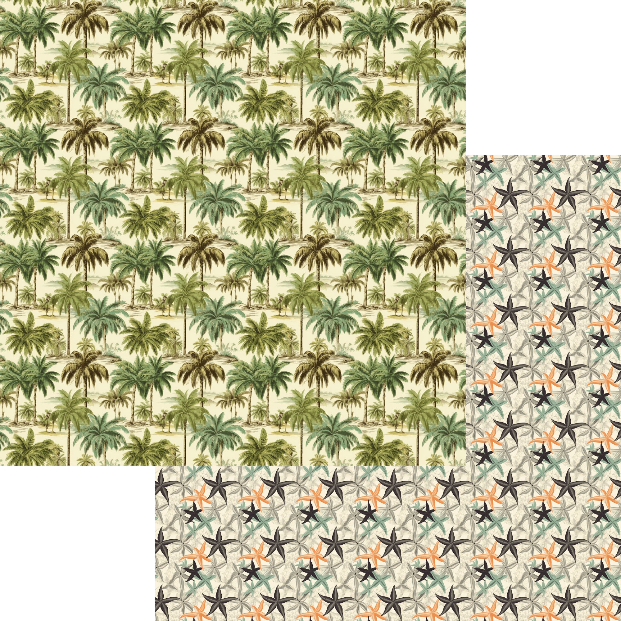 Beach Party Collection Palm Trees 12 x 12 Double-Sided Scrapbook Paper by SSC Designs