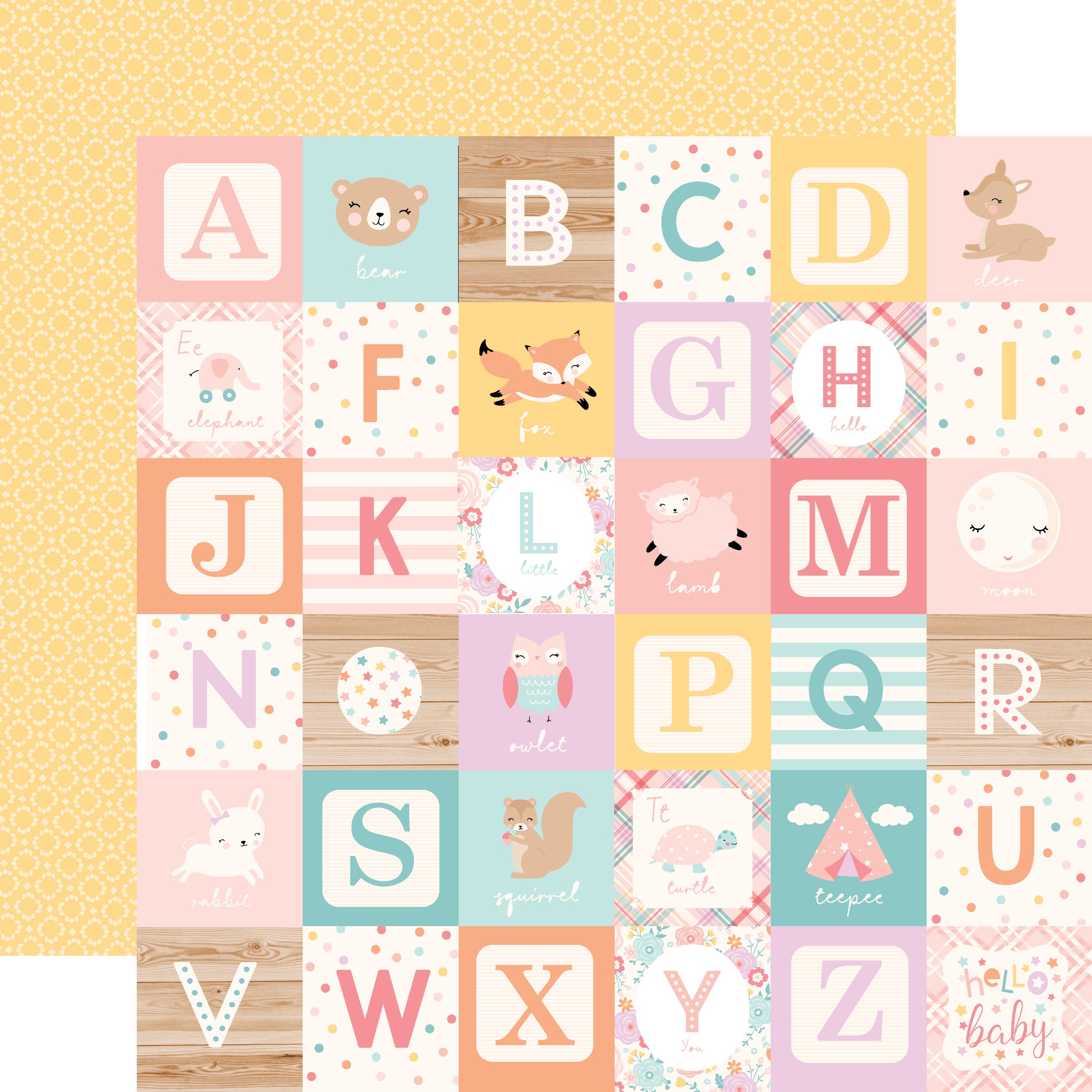 Hello Baby Girl 12 x 12 Scrapbook Collection Kit by Echo Park Paper - 13 Pieces