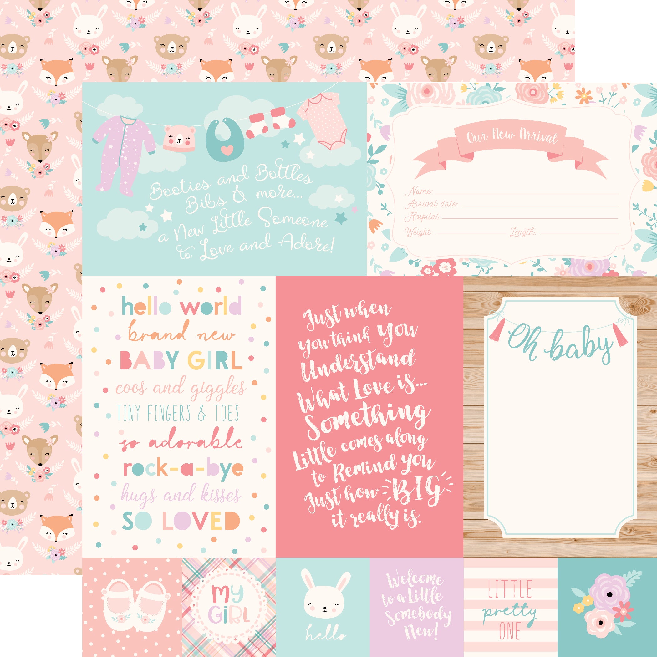 Hello Baby Girl 12 x 12 Scrapbook Collection Kit by Echo Park Paper - 13 Pieces