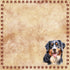 Dog Breeds Collection Bernese Mountain Dog 12 x 12 Double-Sided Scrapbook Paper by SSC Designs