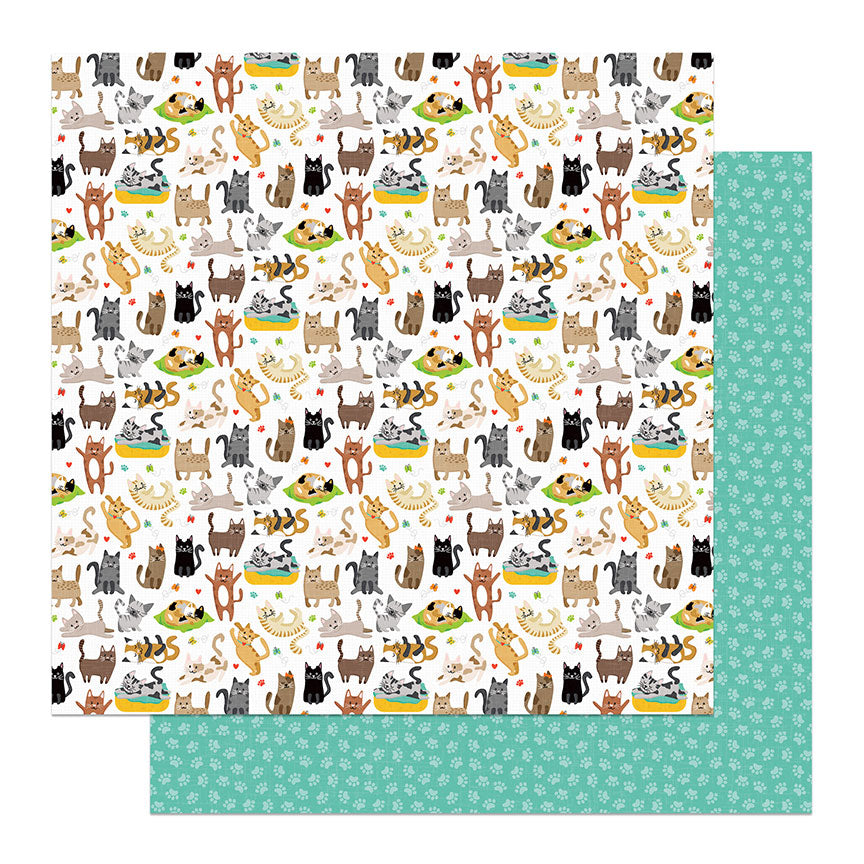 Cat Nip Collection 12 x 12 Double-Sided Scrapbook Collection Kit by Photo Play Paper