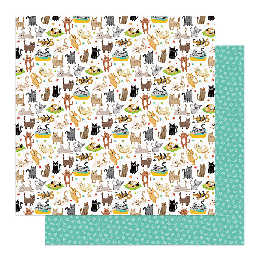 Cat Nip Collection Cats Have Staff 12 x 12 Double-Sided Scrapbook Paper by Photo Play Paper