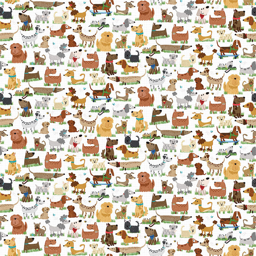 Hot Diggity Dog Collection Dog Park Friends 12 x 12 Double-Sided Scrapbook Paper by Photo Play Paper