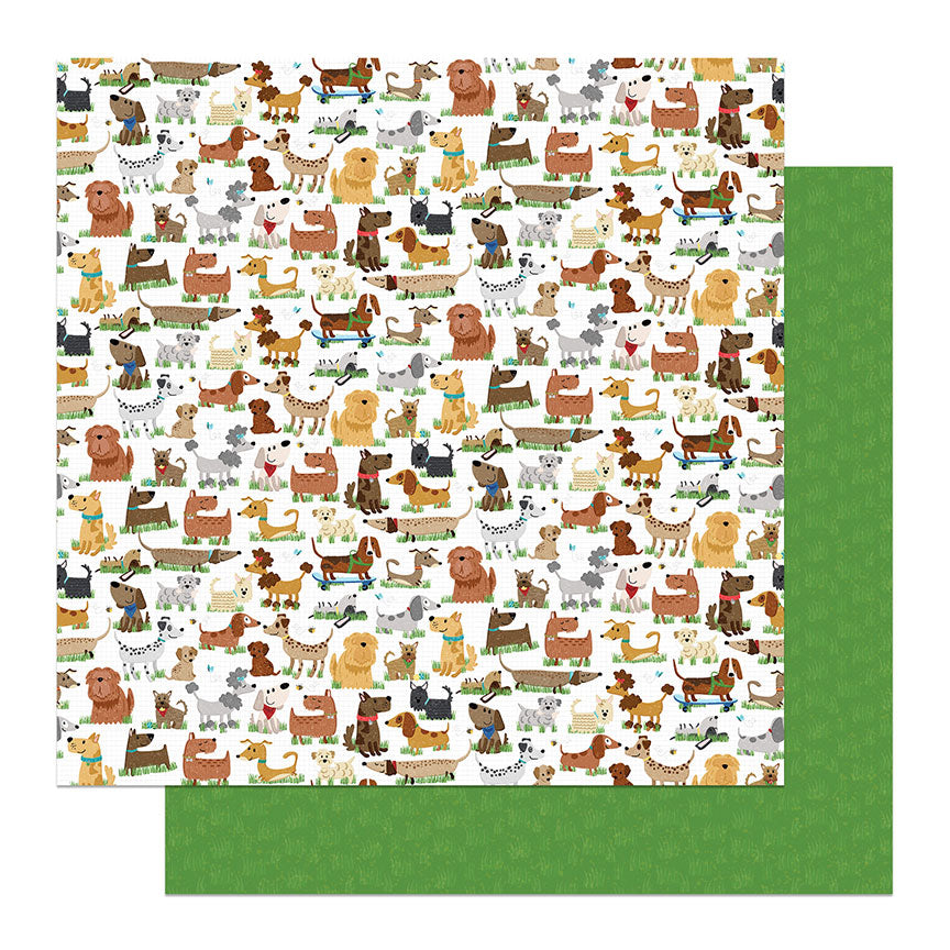 Hot Diggity Dog Collection Dog Park Friends 12 x 12 Double-Sided Scrapbook Paper by Photo Play Paper