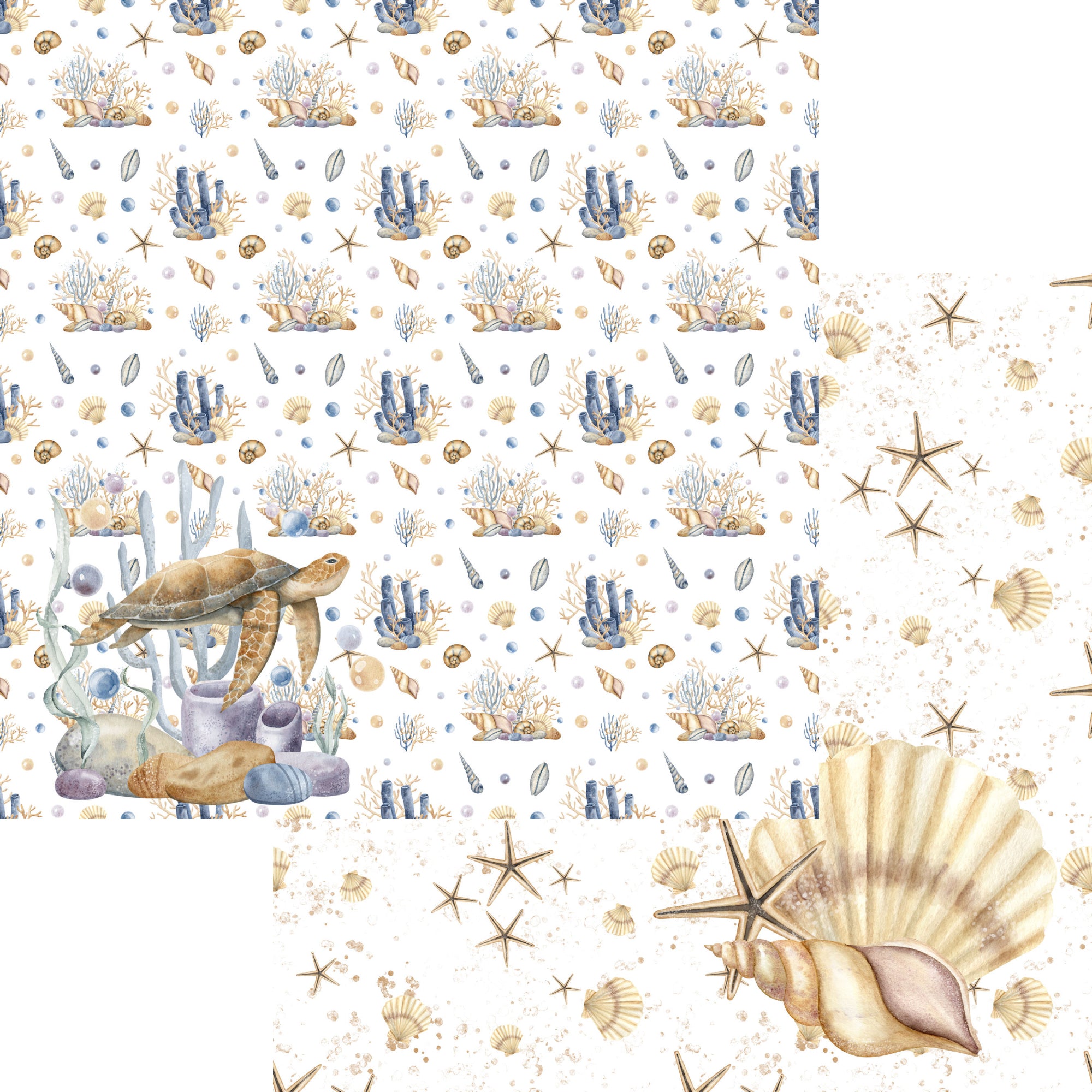Seaside Dreams Collection Sea Turtle 12 x 12 Double-Sided Scrapbook Paper by SSC Designs