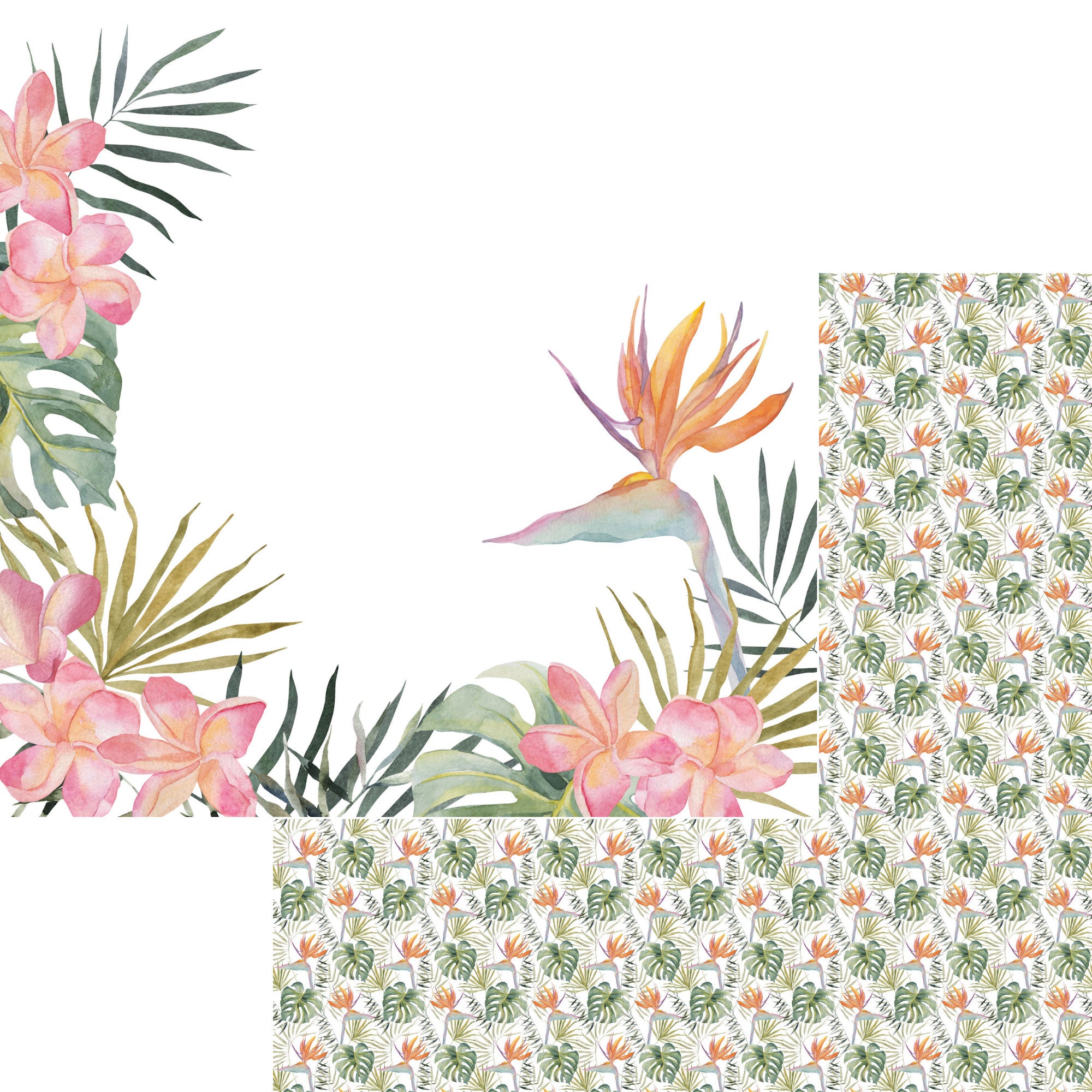 Tropical Paradise Collection 12 x 12 Scrapbook Collection Kit by SSC Designs