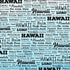 Postage Map Collection Hawaii 12 x 12 Scrapbook Paper by Scrapbook Customs