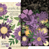 Staples Collection Shades of Purple Flower Assortment by Graphic 45-81 assorted pieces - Scrapbook Supply Companies