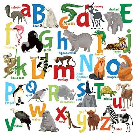 Zoo Adventure Collection Animal Alphabet 12 x 12 Double-Sided Scrapbook Paper by Carta Bella - Scrapbook Supply Companies