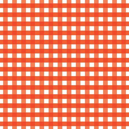 Summertime Collection Picnic Gingham 12 x 12 Double-Sided Scrapbook Paper by Echo Park Paper - Scrapbook Supply Companies